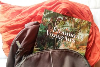 Ambiance illustration Étonnants Voyageurs
