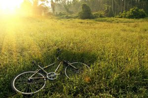Vélo dans l'herbe micro aventure