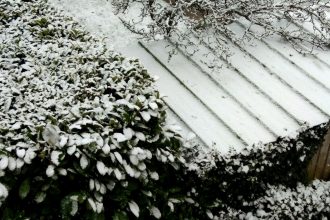 Tôle, feuilles, flocons