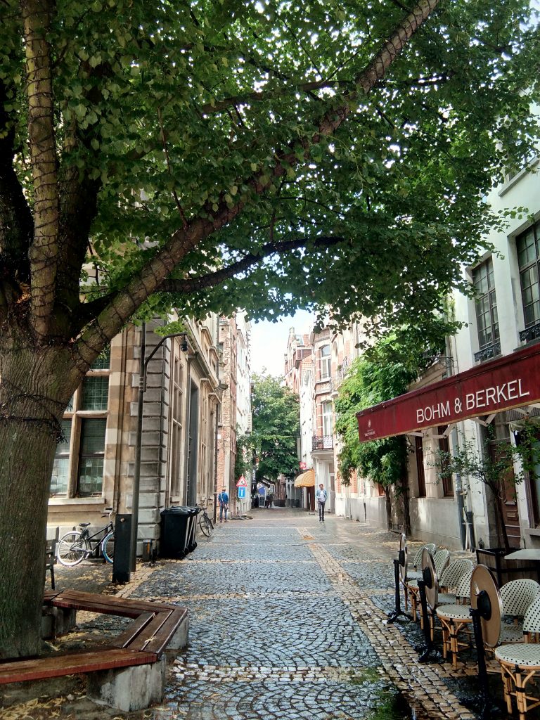Anvers, rue pavée et terrasse arborée